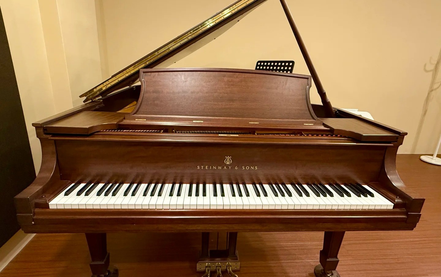 Steinway vs Fazioli Pianisten Steinway vs Fazioli Flügel Vergleich Pianisten Institutionen Konzert