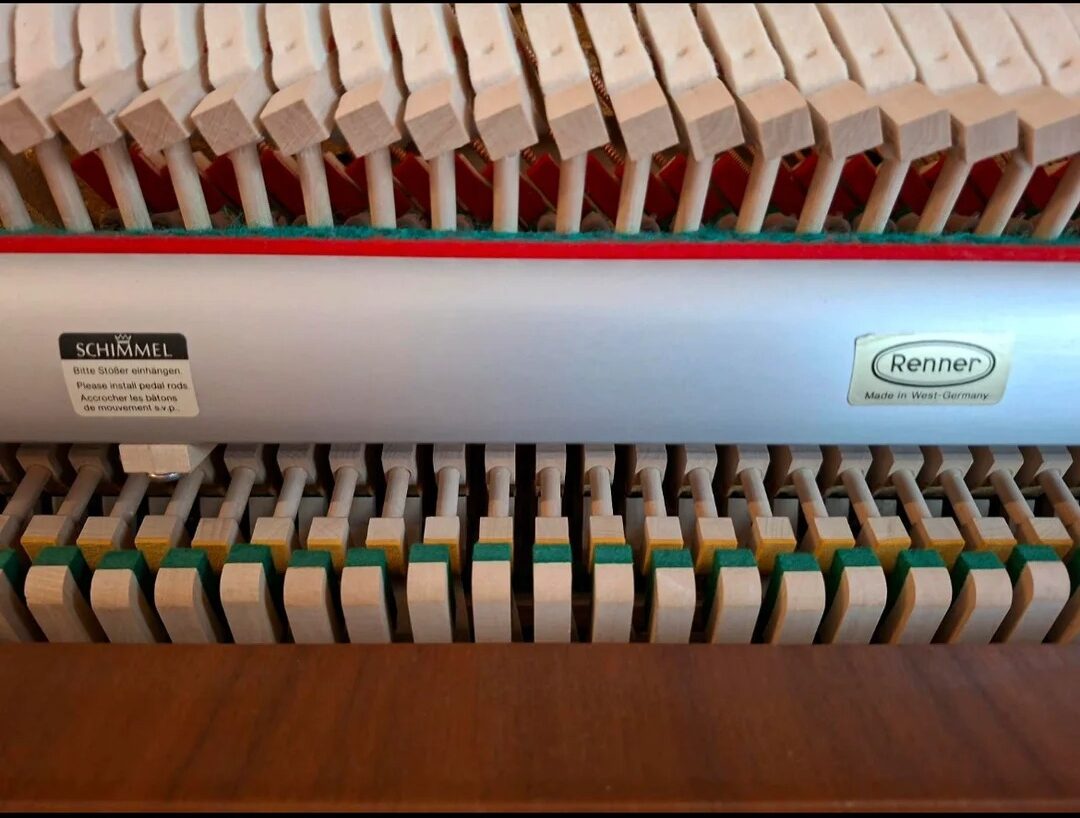 Schimmel Flügel Preis-Leistung Premium-Champion Vergleich Steinway