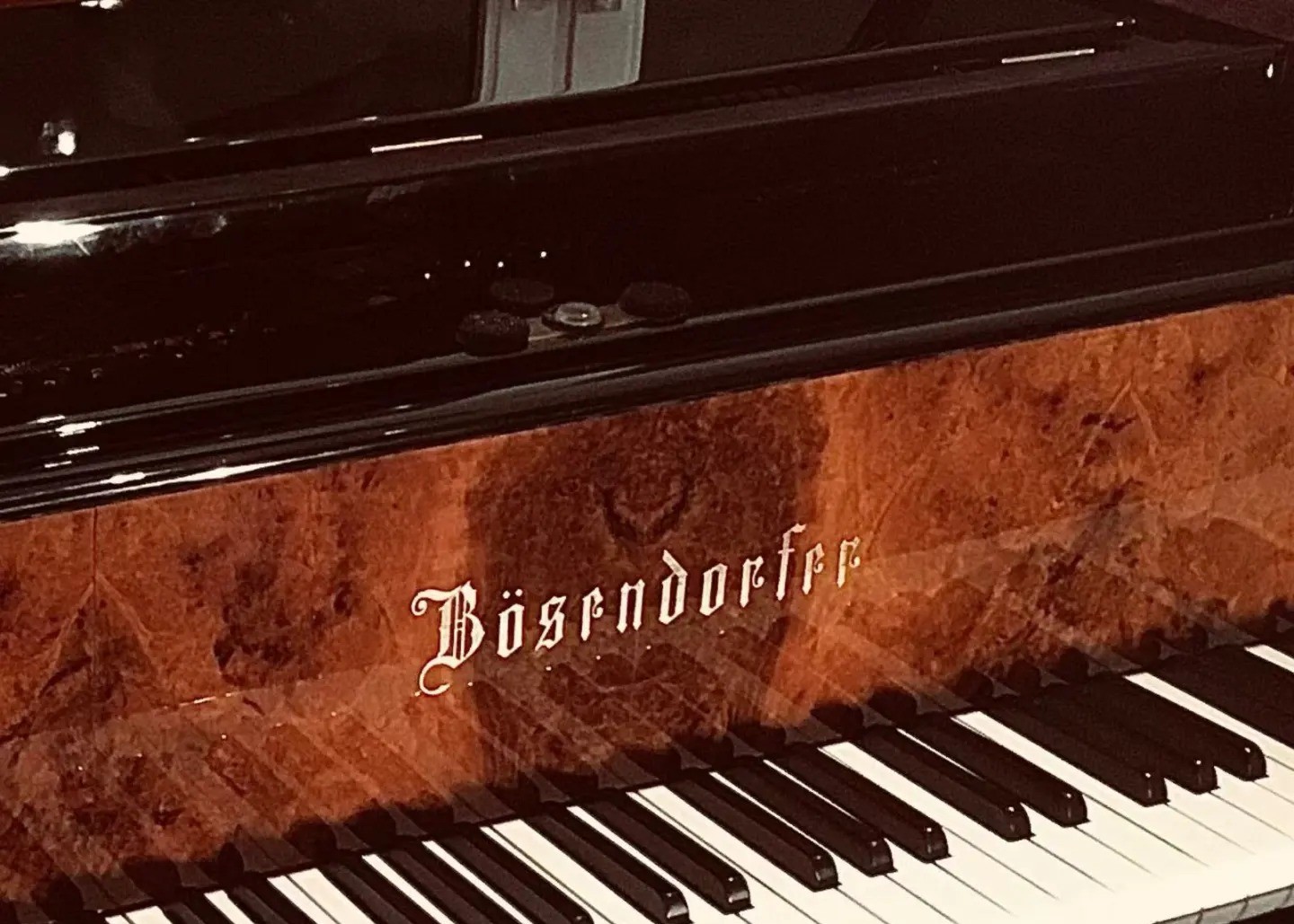 Bösendorfer Charakter Vergleich Bösendorfer Flügel Charakter Vergleich Steinway Klangqualität Wien
