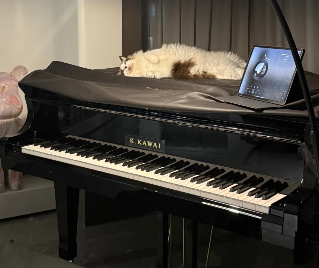 Kawai Flügel Vergleich Bechstein Qualität Klang Preis