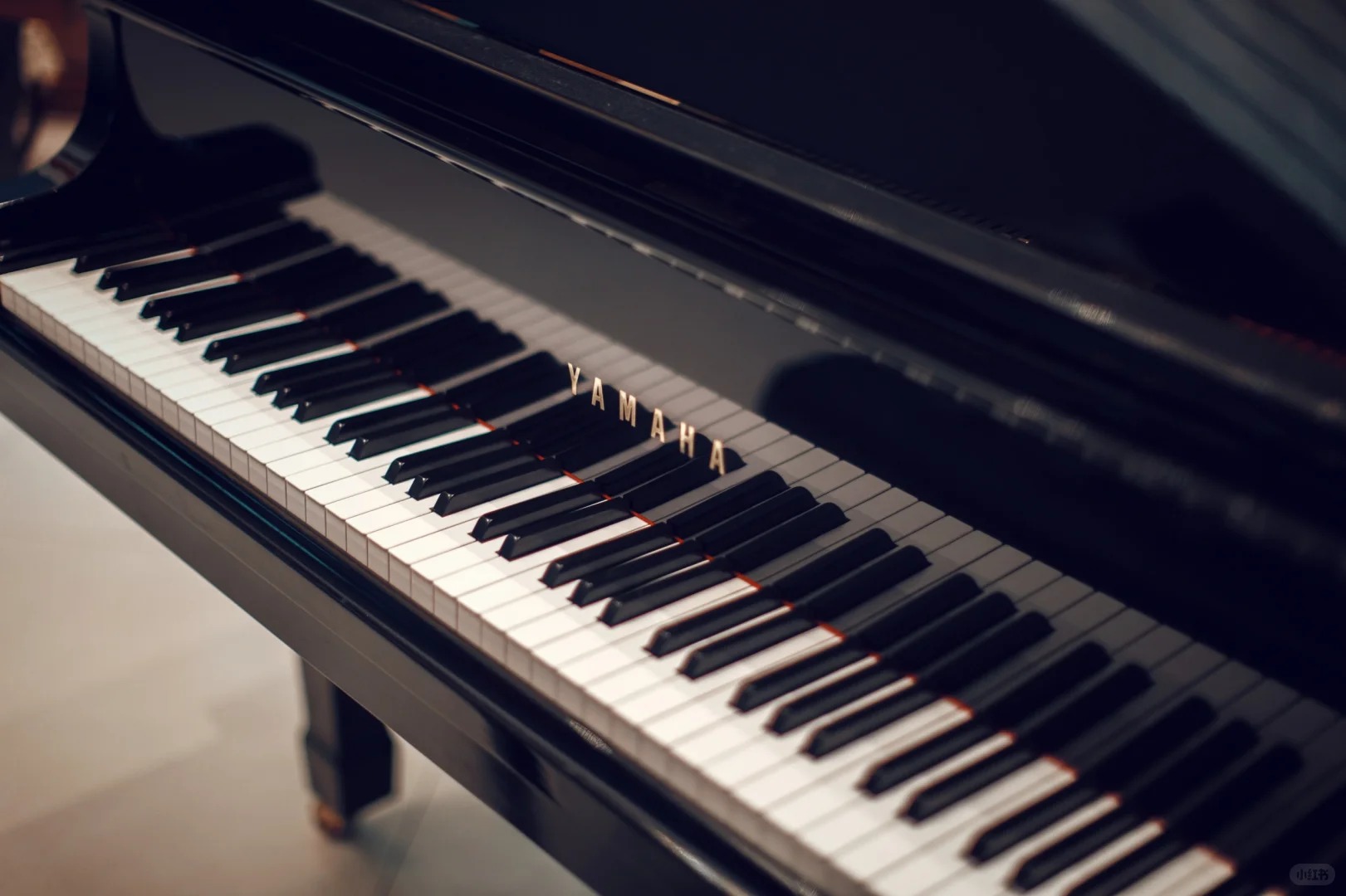 Fine grand piano for serious performers