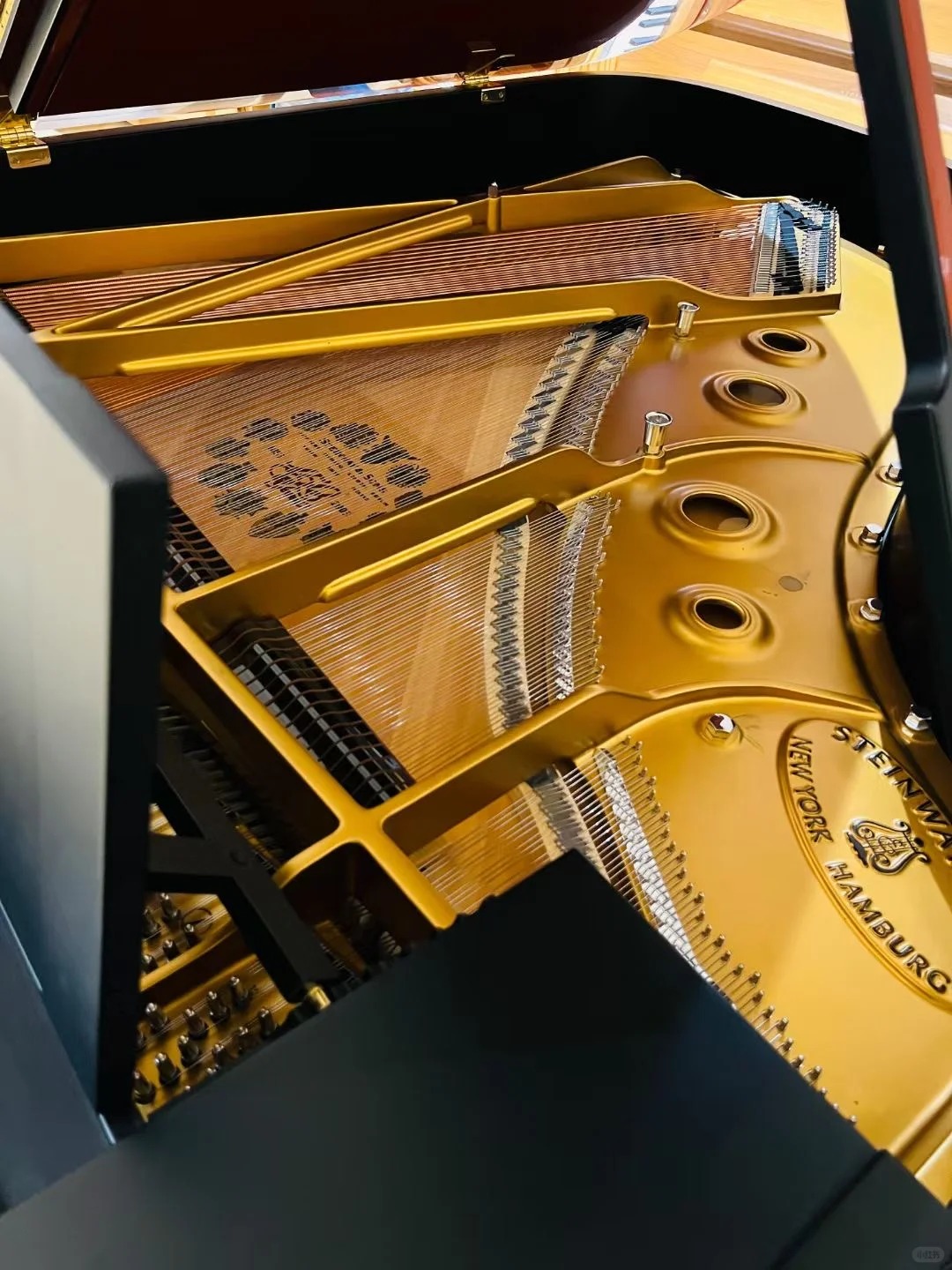 Steinway Model B Review: Our Verdict on the Benchmark