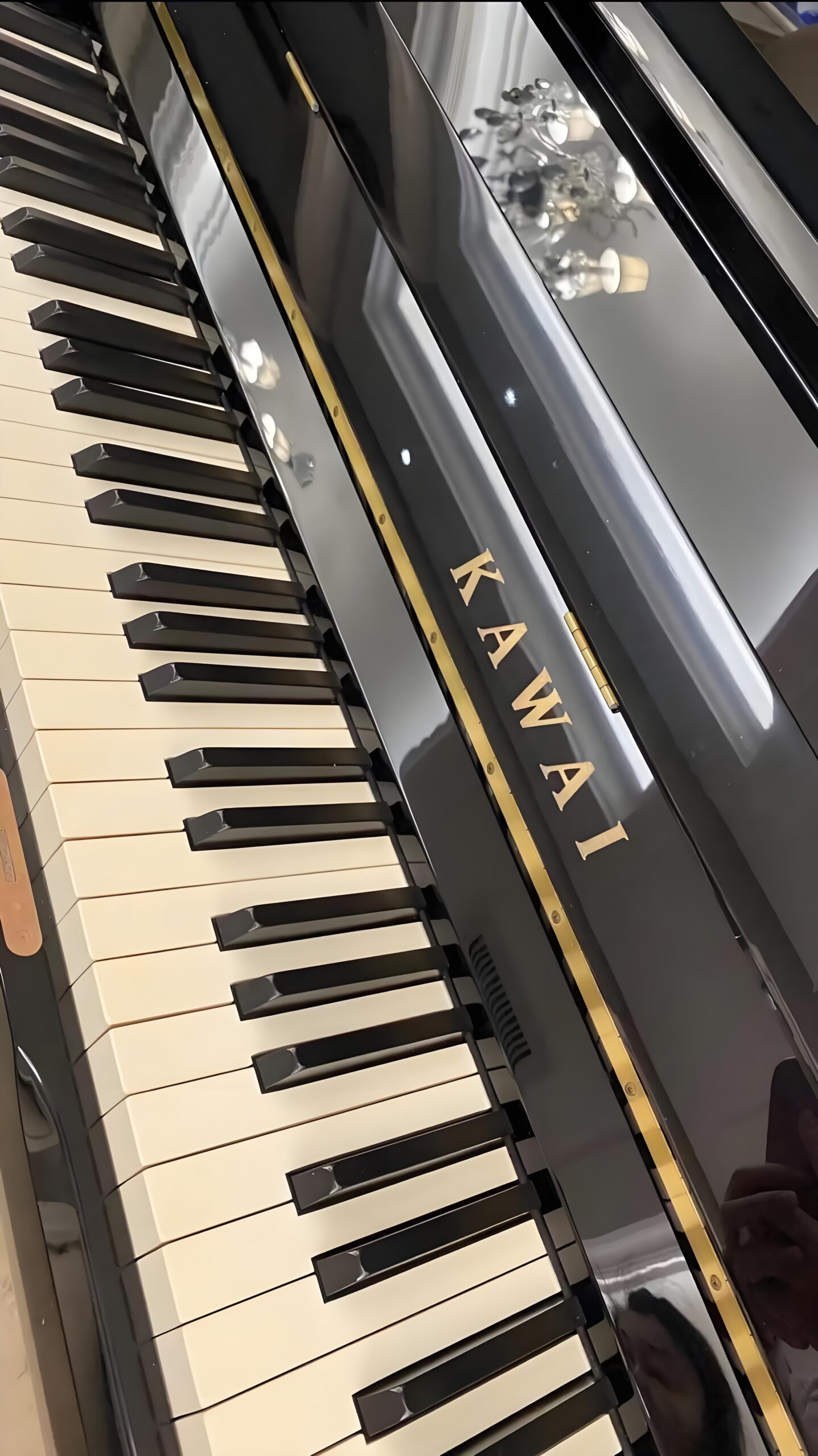 Professional grand piano showcasing exceptional craftsmanship
