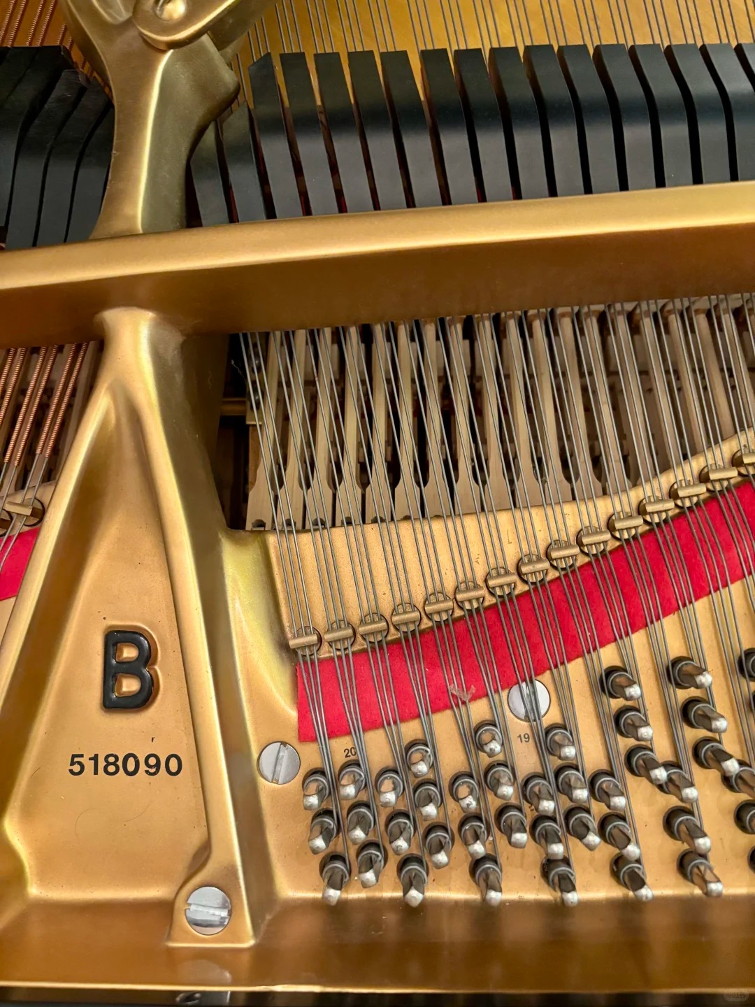 Pianoforte a coda Steinway — riferimento visivo per l'articolo: Accordatura Pianoforte a Coda: Quanto Spesso e Quanto Costa