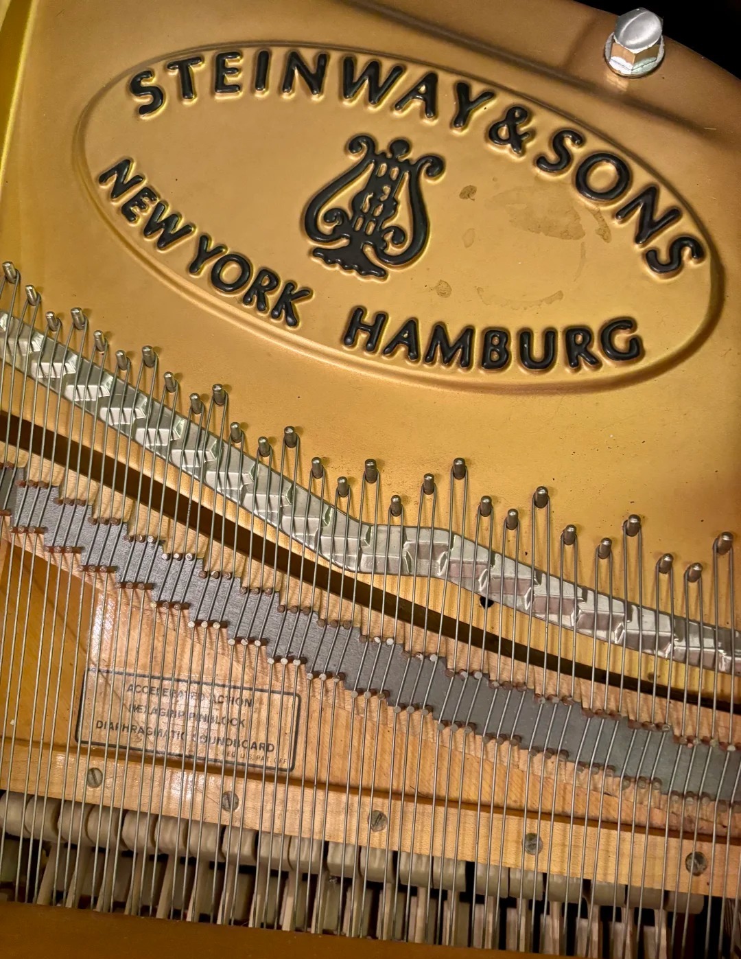 Pianoforte a coda Steinway — riferimento visivo per l'articolo: Test Steinway Model B: il pianoforte a coda perfetto per appa