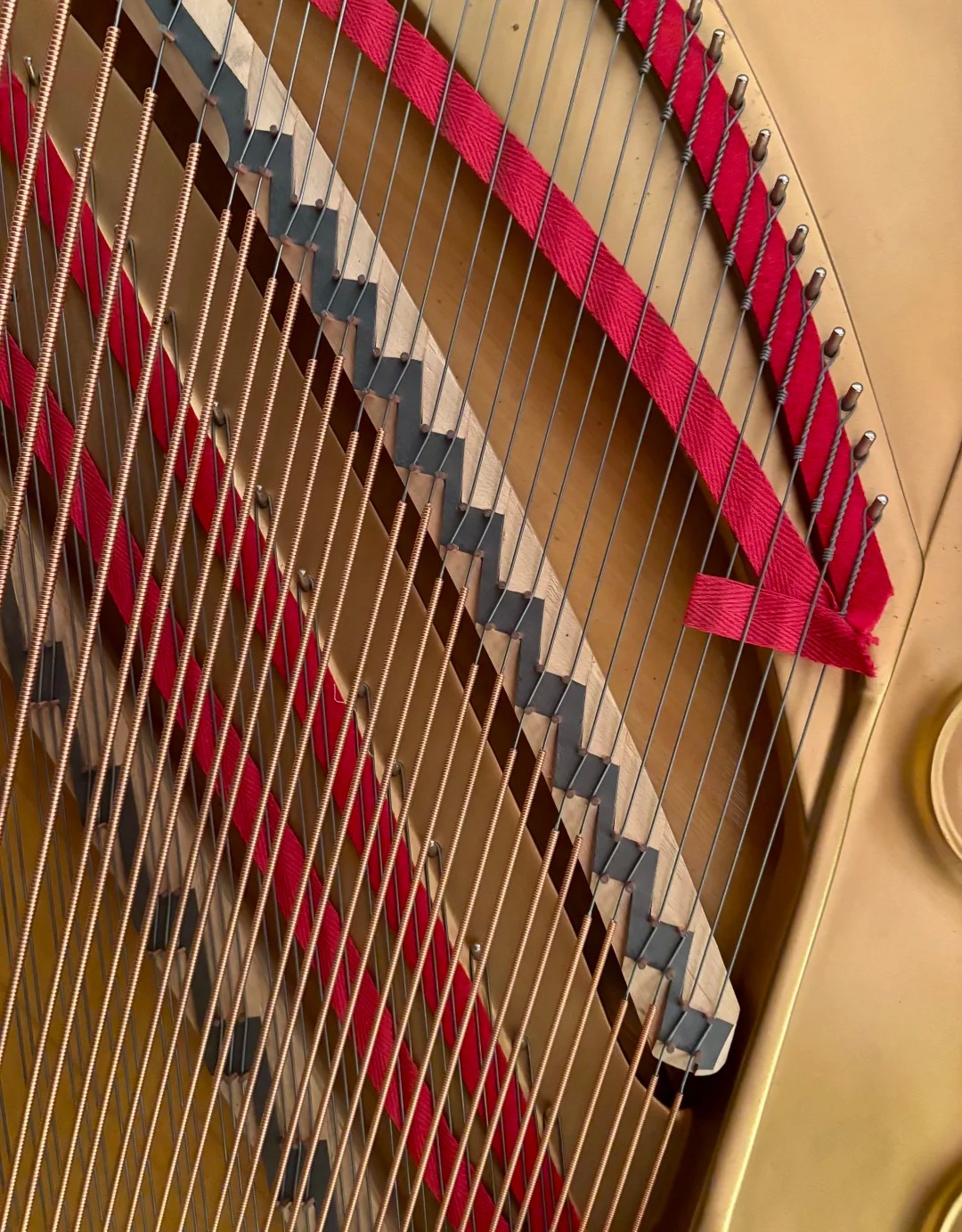 Pianoforte a coda Steinway — riferimento visivo per l'articolo: I 5 Errori Più Comuni Quando Si Compra un Pianoforte a Coda