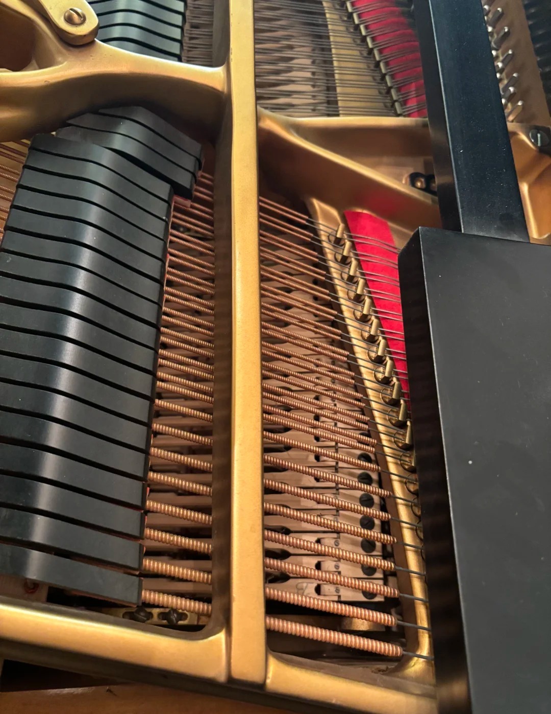 Pianoforte a coda Steinway — riferimento visivo per l'articolo: I 5 Errori Più Comuni Quando Si Compra un Pianoforte a Coda