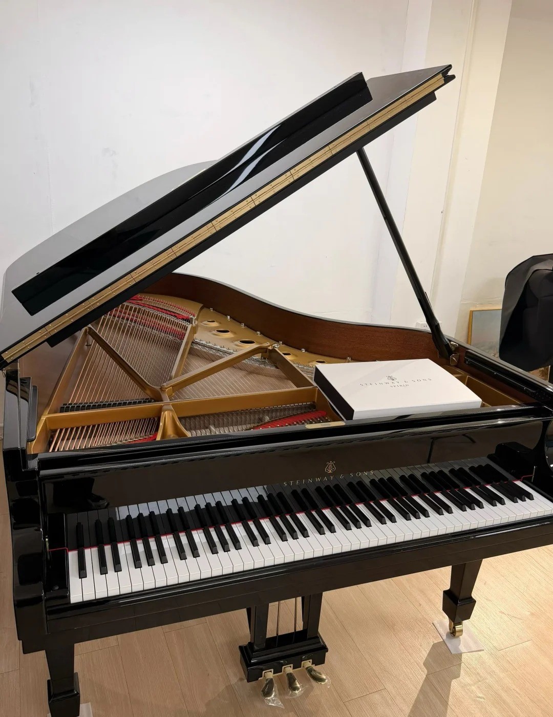 Pianoforte a coda Steinway — riferimento visivo per l'articolo: Test Sordina Pianoforte: Cosa Cambia Davvero su Tocco e Suono