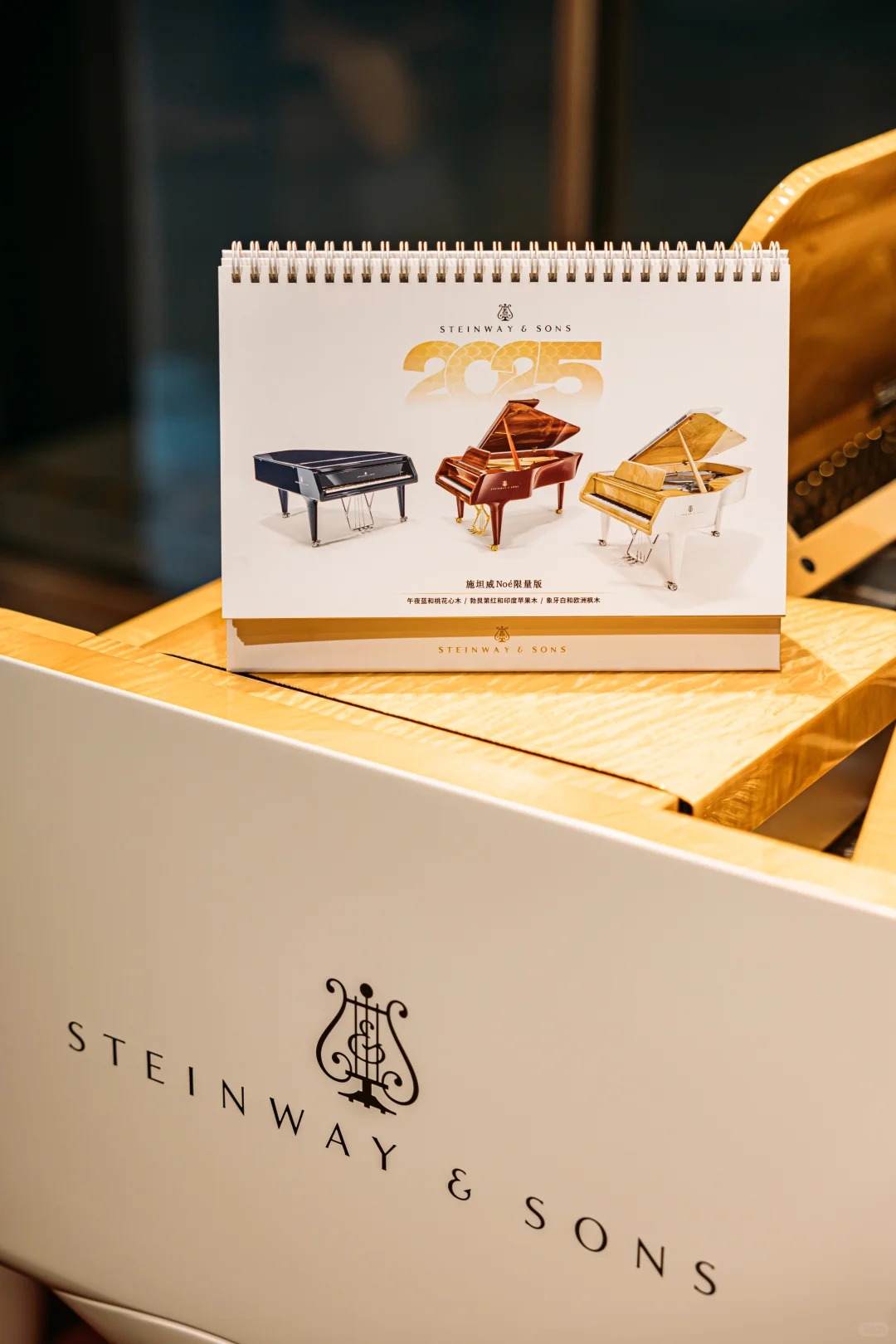 Pianoforte a coda Steinway — riferimento visivo per l'articolo: Guida ai Migliori Pianoforti a Coda per Conservatorio