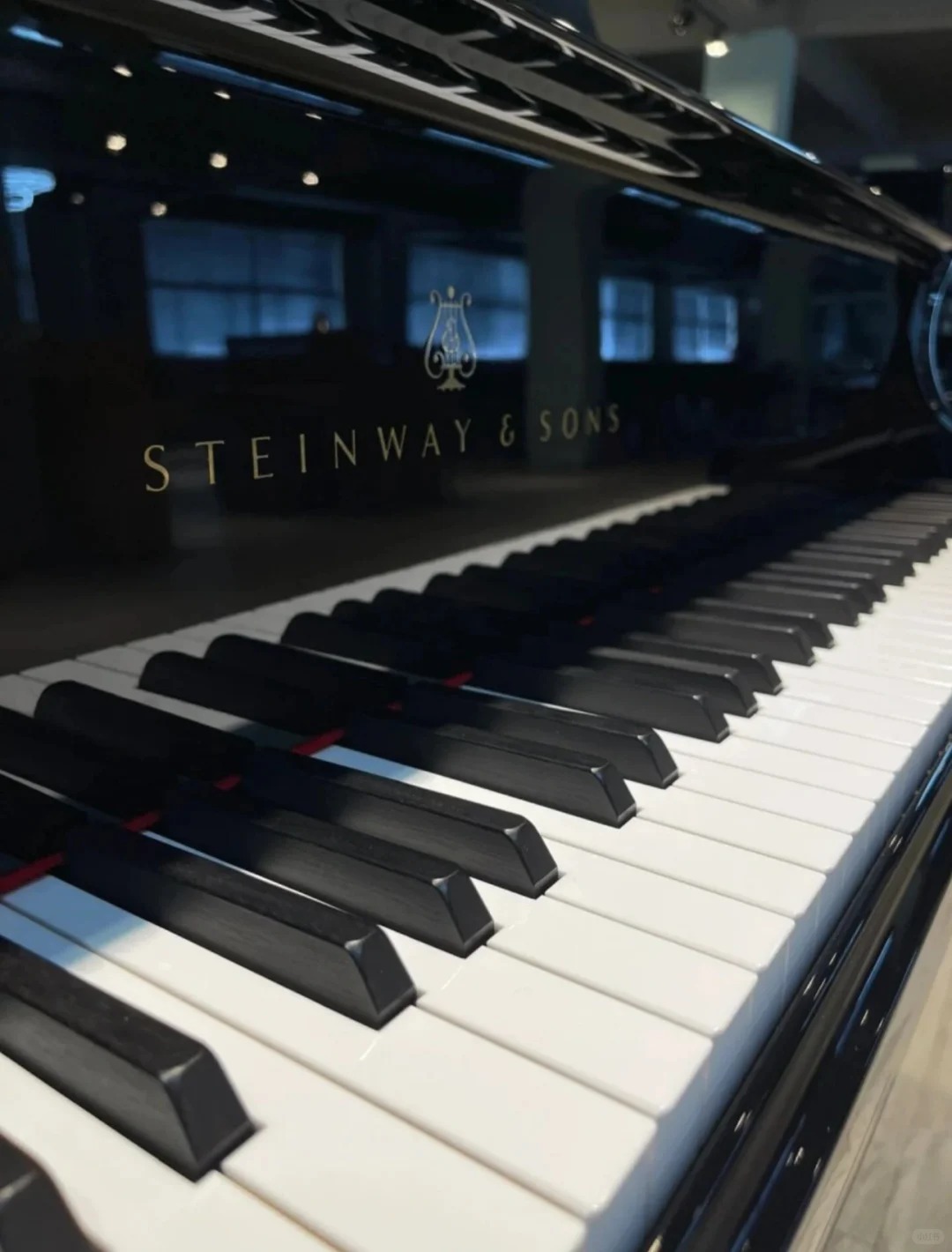 Pianoforte a coda Steinway — riferimento visivo per l'articolo: Steinway Pianoforte a Coda per Concerto: Guida alla Scelta