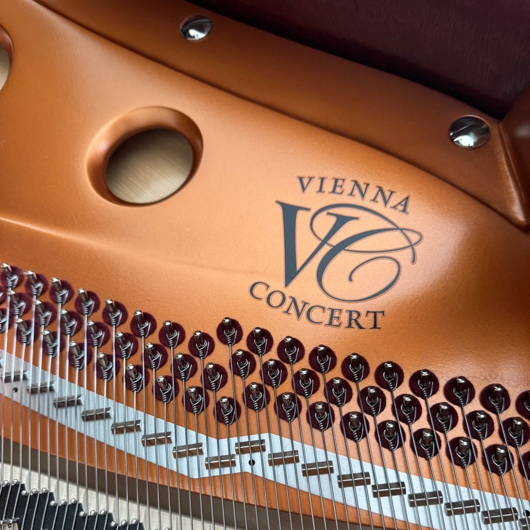Pianoforte a coda Bösendorfer — riferimento visivo per l'articolo: Guida Bösendorfer Pianoforte a Coda per Concerto: Sceglier