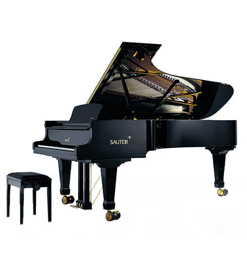 Pianoforte a coda da concerto — riferimento visivo per l'articolo: Guida Bösendorfer Pianoforte a Coda per Concerto: Sceglier
