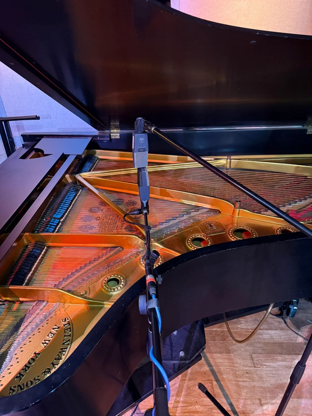 Pianoforte a coda Steinway — riferimento visivo per l'articolo: Test Copripiano e Protezione: Cosa Serve Davvero per un Piano