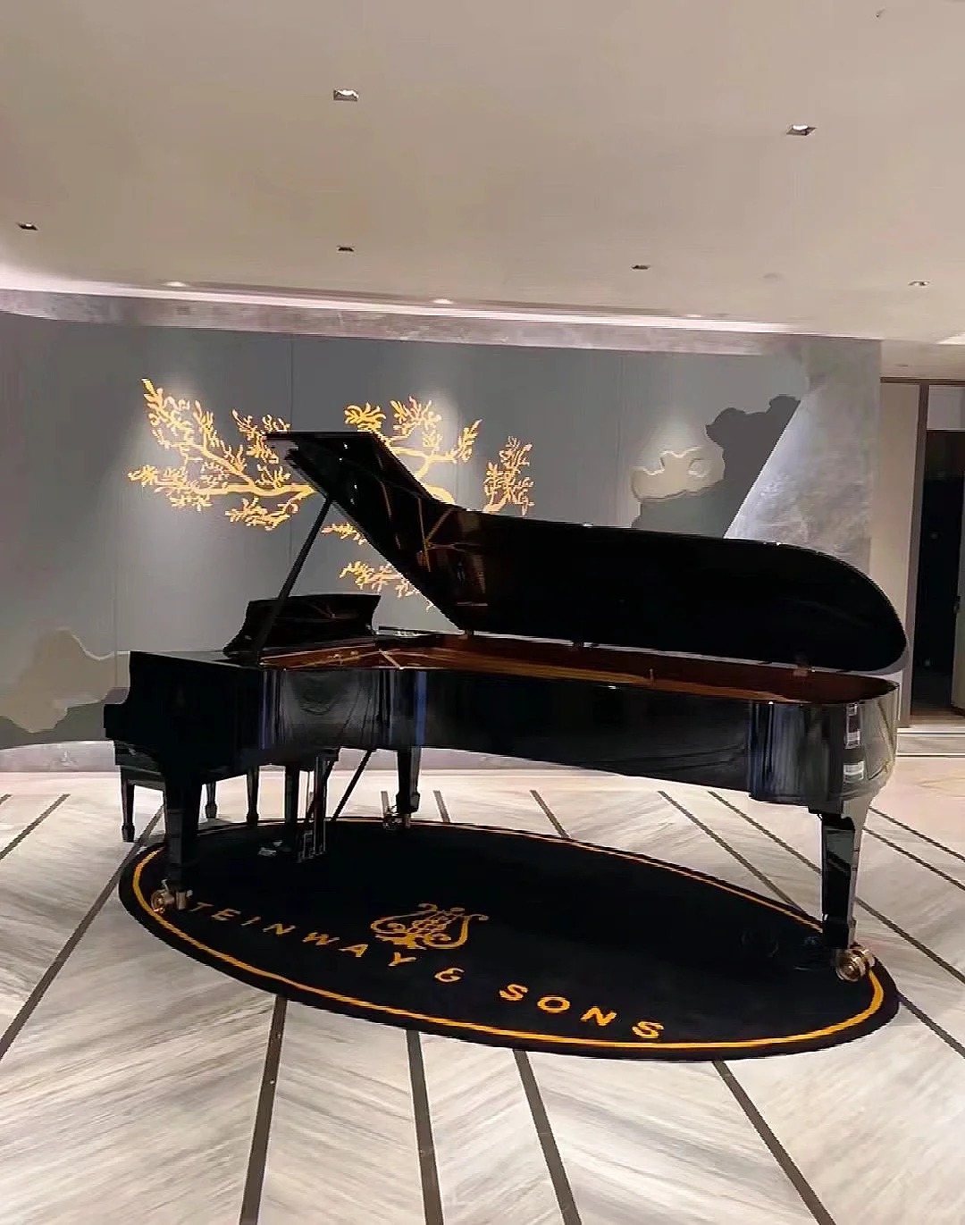 Pianoforte a coda Steinway — riferimento visivo per l'articolo: Test: i Pianoforti più costosi al mondo, modelli e prezzi