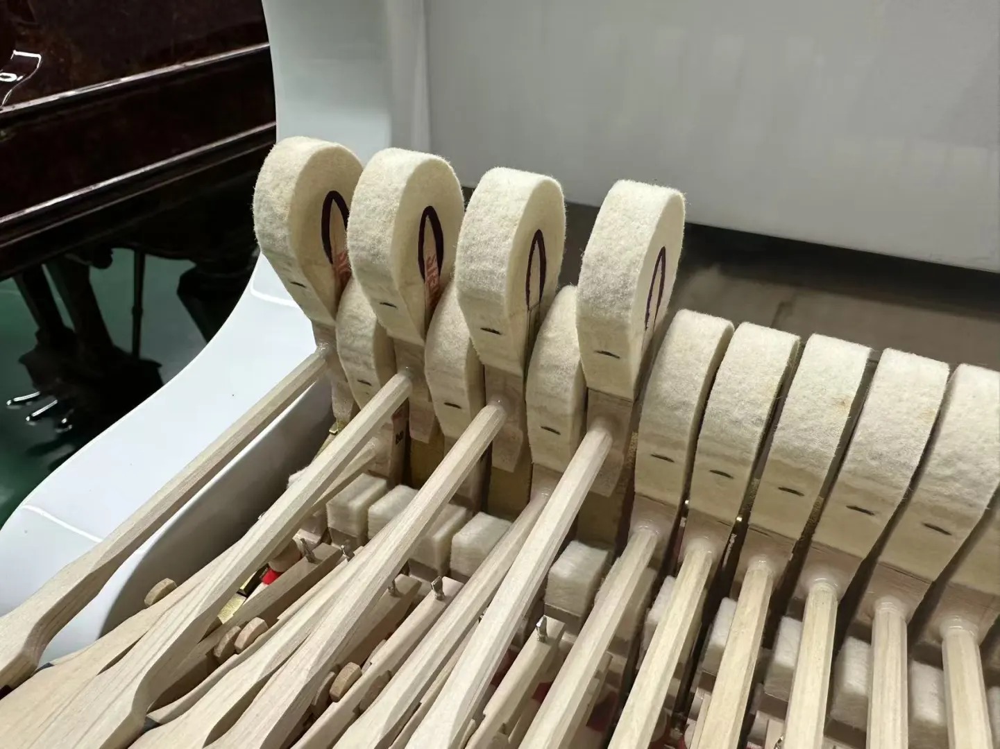 Pianoforte a coda Steinway — riferimento visivo per l'articolo: Test: Gran Coda, Mezza Coda o Quarto di Coda? Quale Scegliere