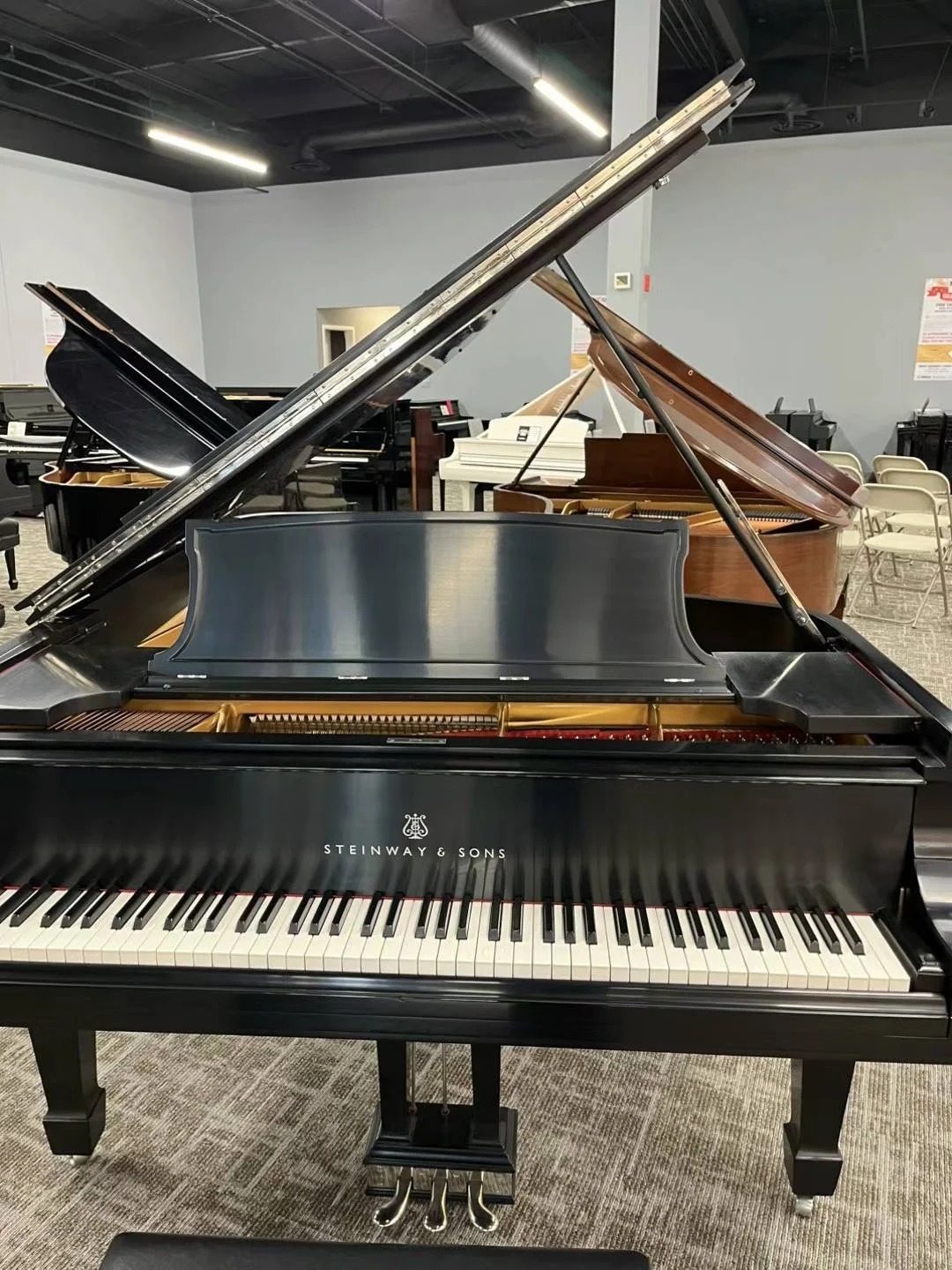 Pianoforte a coda Steinway — riferimento visivo per l'articolo: Come Scegliere un Pianoforte a Coda: Guida Completa Passo-Pas