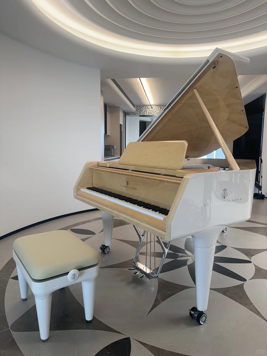 Pianoforte a coda Steinway — riferimento visivo per l'articolo: Guida al Pianoforte a Coda per Conservatorio: Requisiti e Mod