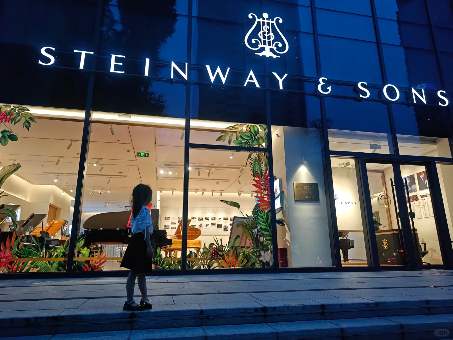 Pianoforte a coda Steinway — riferimento visivo per l'articolo: Guida al Pianoforte a Coda per Scuola di Musica: Budget e Rob