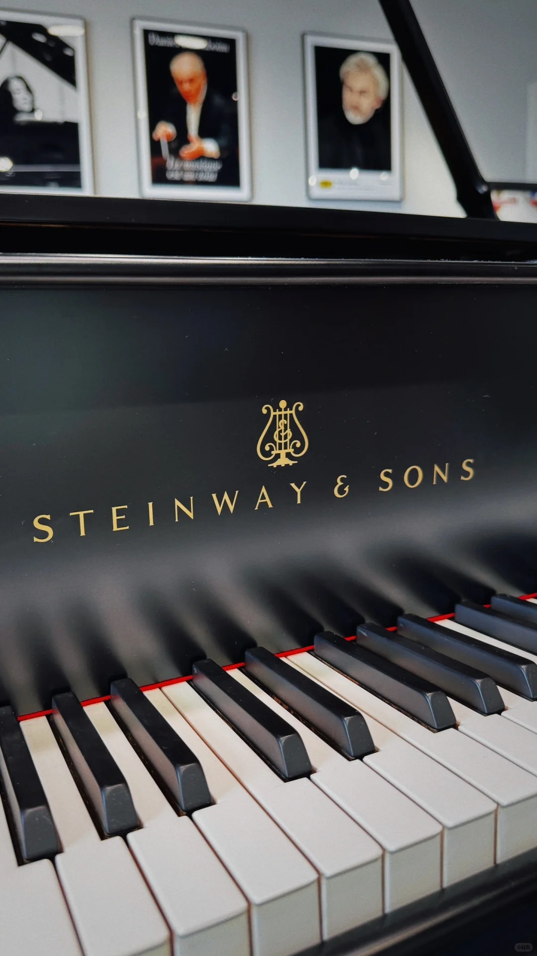Pianoforte a coda Steinway — riferimento visivo per l'articolo: Test: Restauro Pianoforte a Coda – Costi, Tempi, Risult