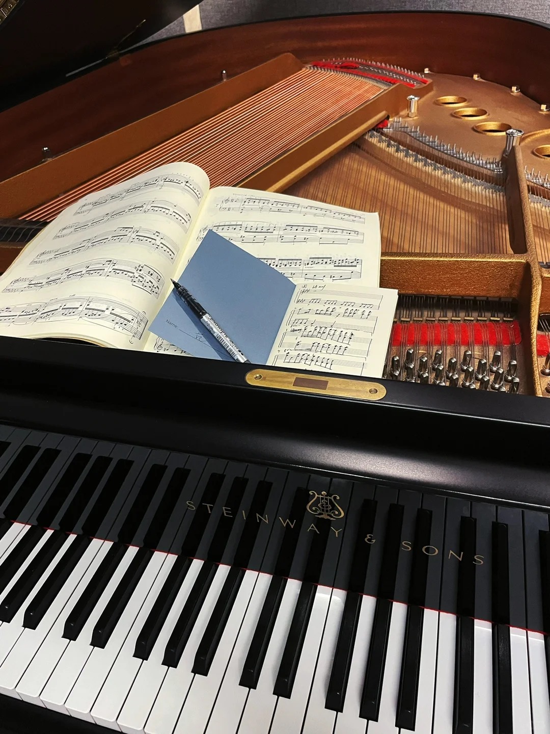 Pianoforte a coda Steinway — riferimento visivo per l'articolo: Acquisto Online di Pianoforte a Coda: Quando È Sicuro e Quand