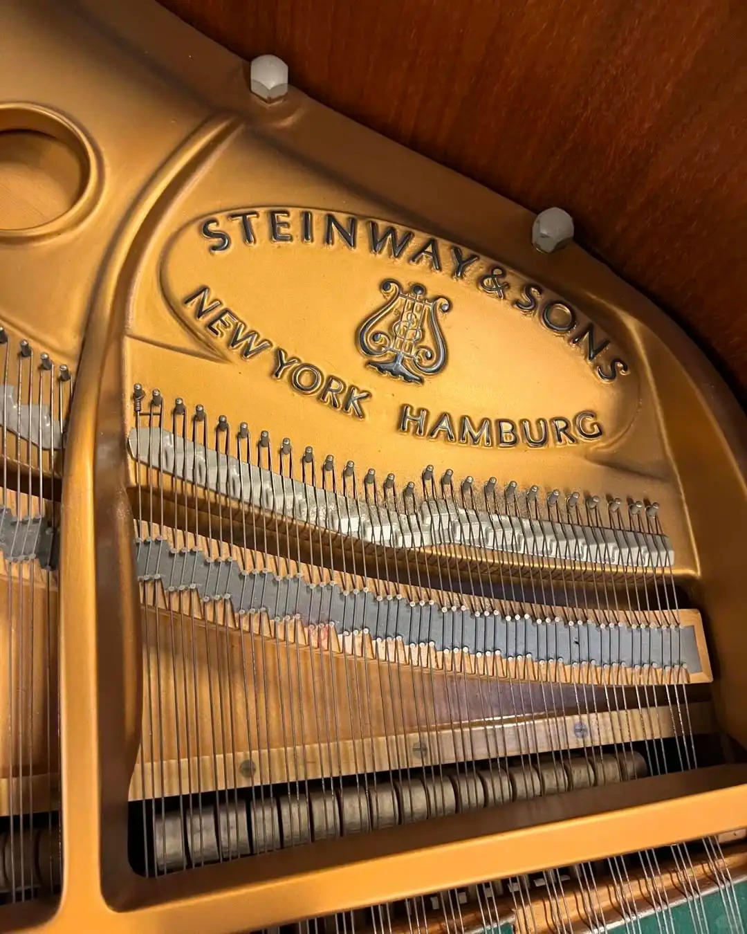 Pianoforte a coda Steinway — riferimento visivo per l'articolo: Quale pianoforte a coda scegliere da principiante? Guida comp
