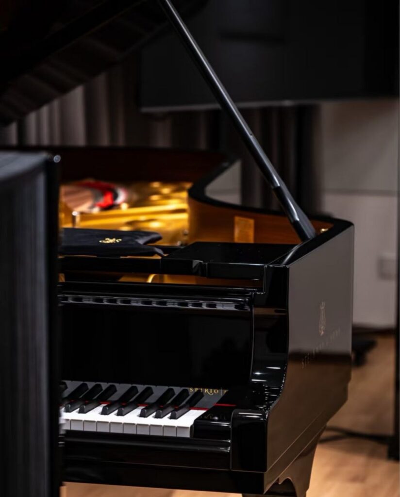 Comment Choisir Piano Queue dans un salon