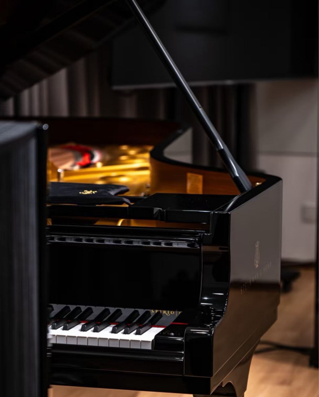 Comment Choisir Piano Queue dans un salon