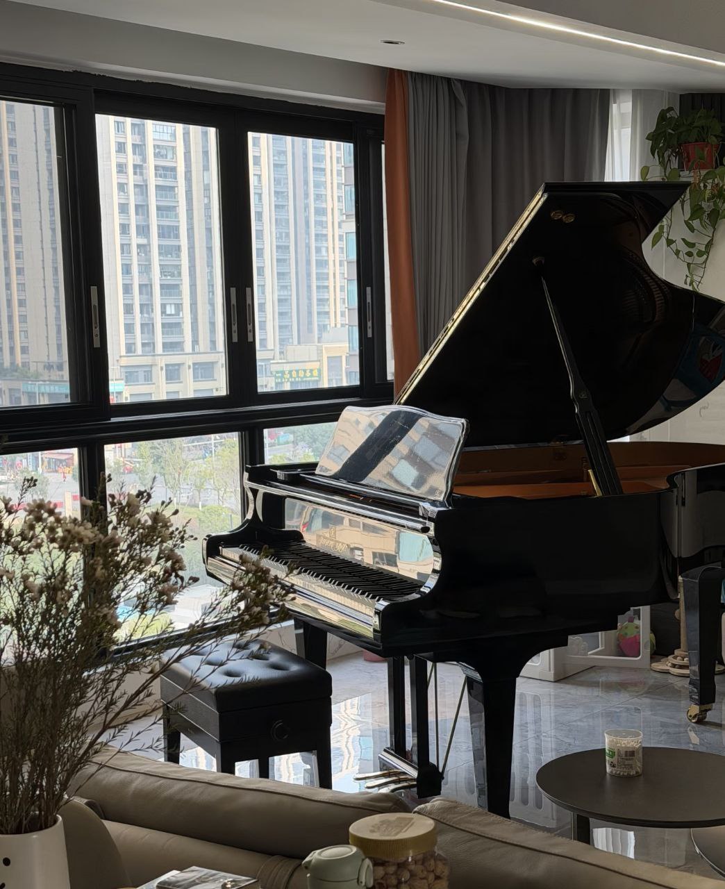 Choisir piano queue appartement - vue d'ensemble