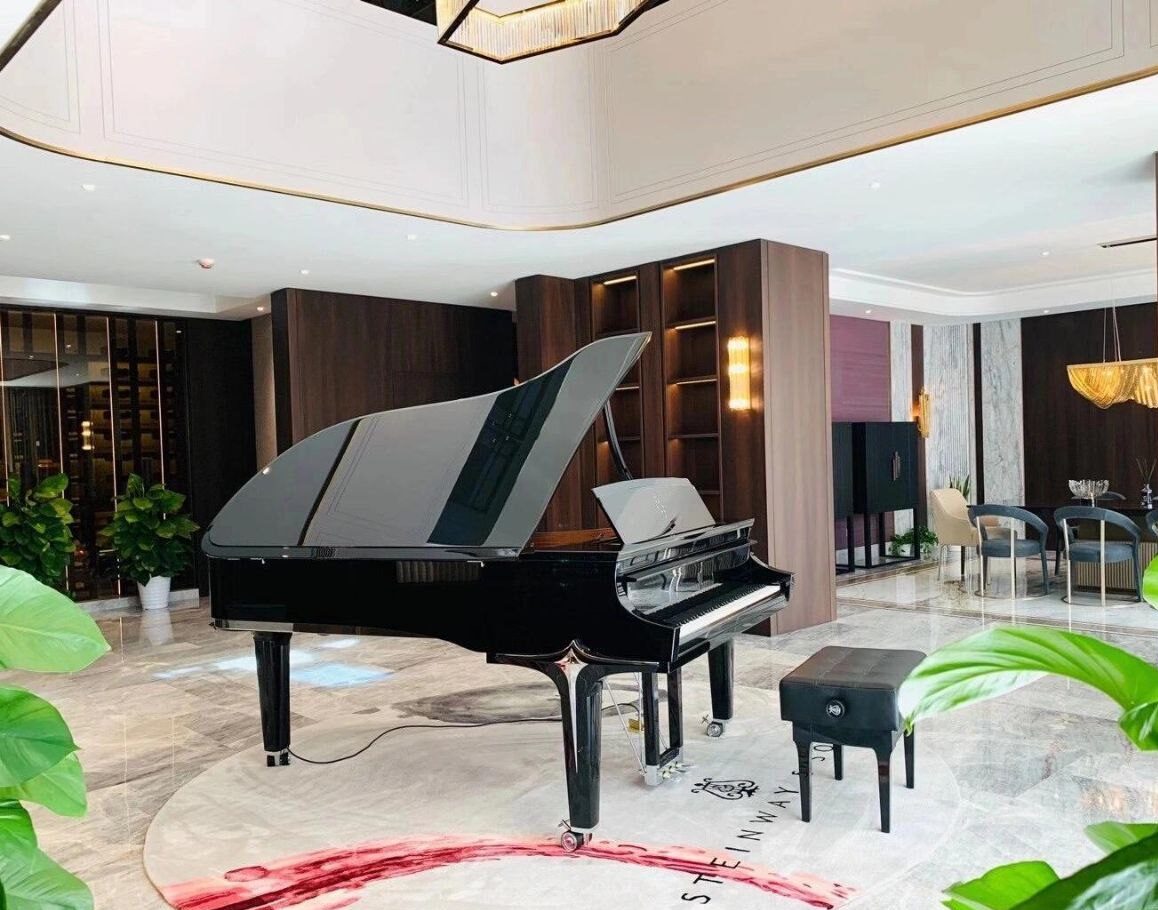 Choisir Piano Queue Salon dans un salon
