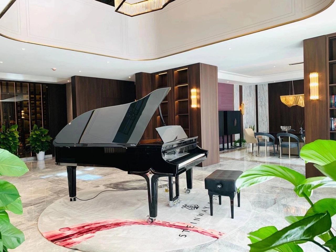 Choisir Piano Queue Salon dans un salon