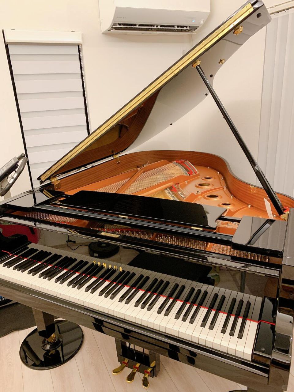 Piano Queue Petit Format - vue d'ensemble