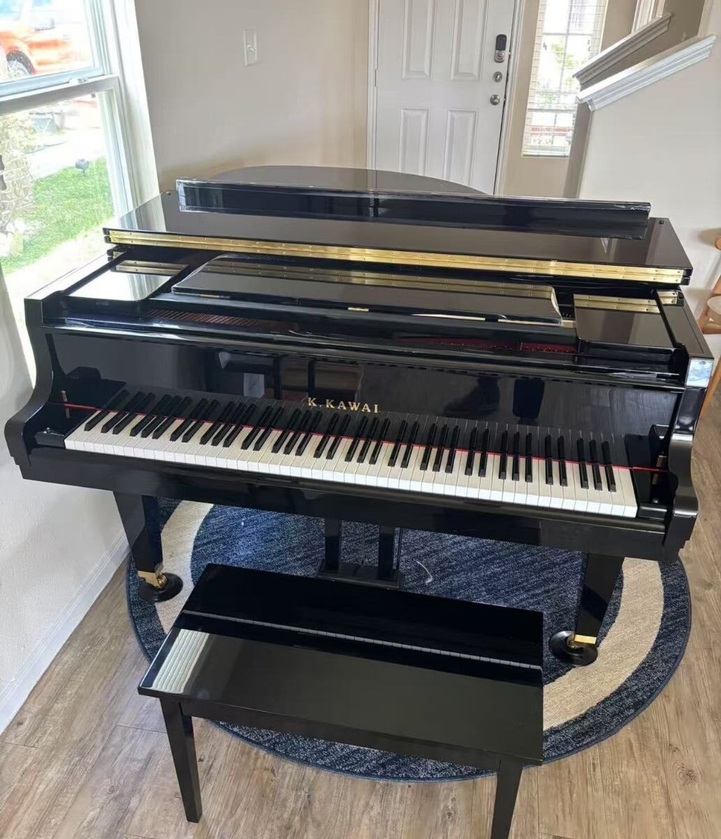 Piano Queue Budget 20000 dans un salon