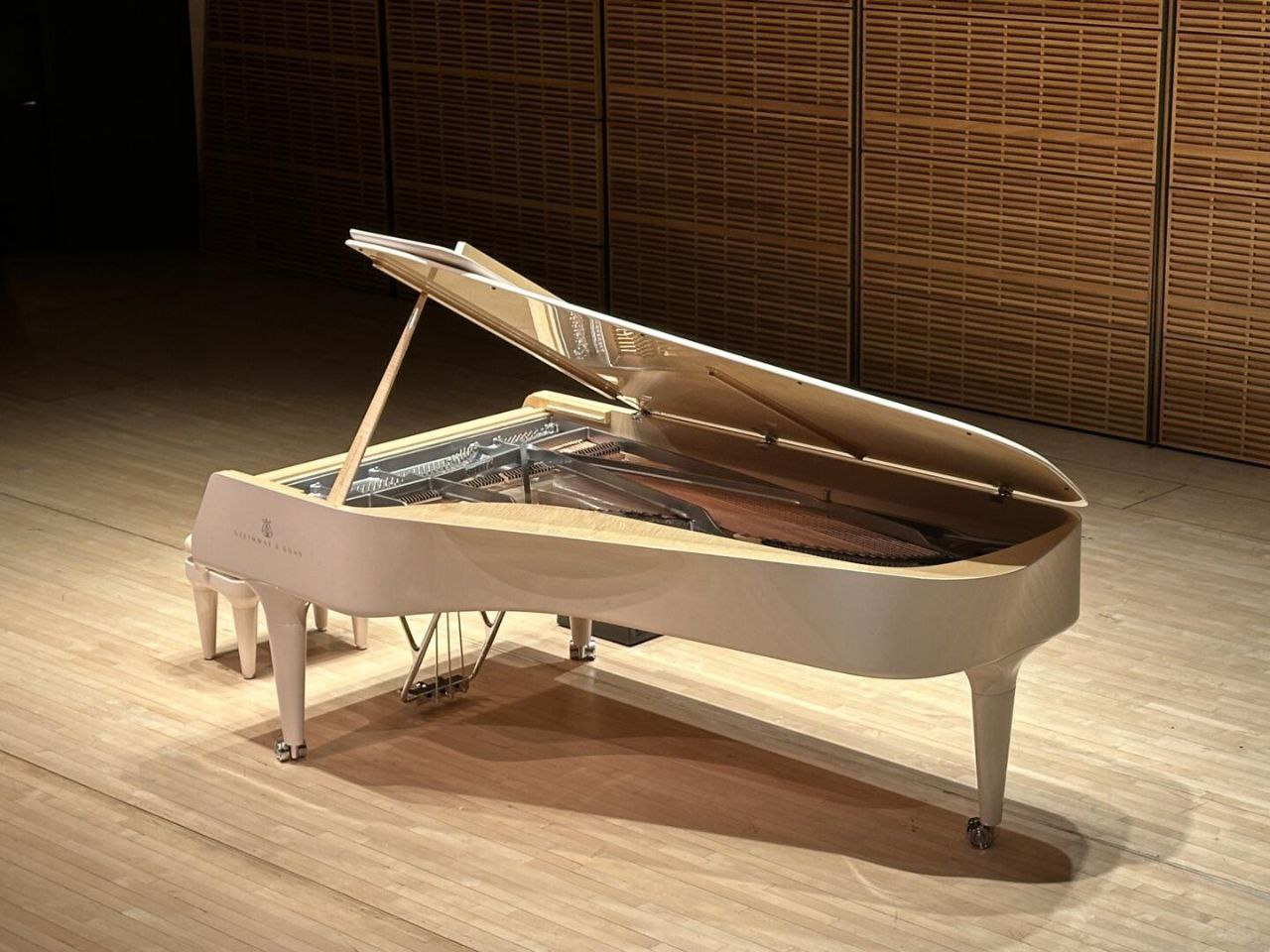 Piano Queue Haut Gamme - vue d'ensemble