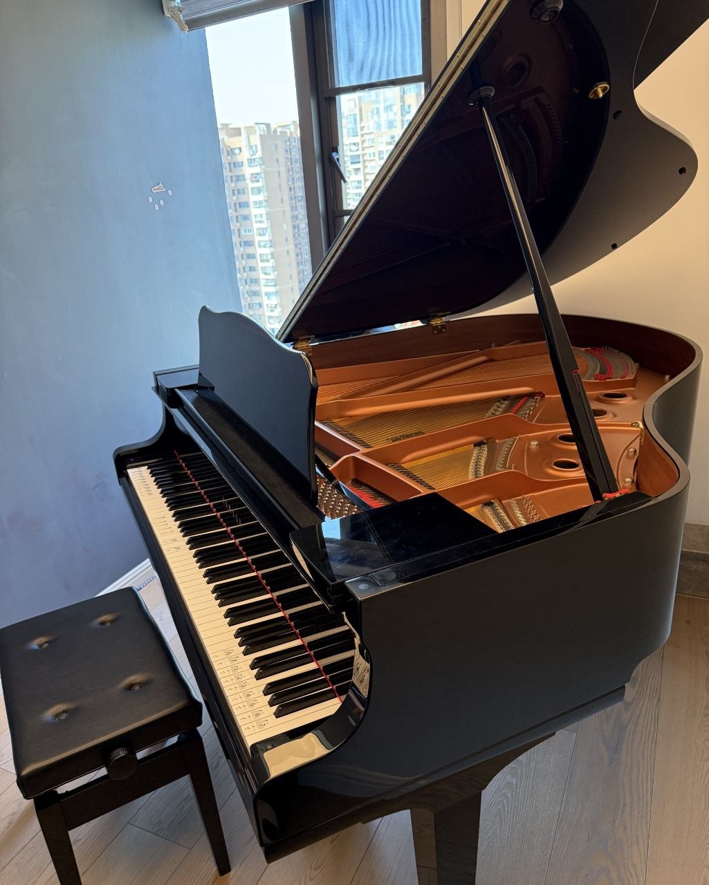 Piano Queue Budget 20000 dans un auditorium