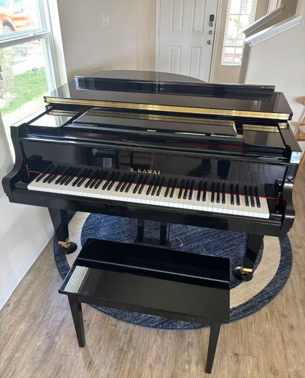 Piano Queue Budget 20000 dans un salon