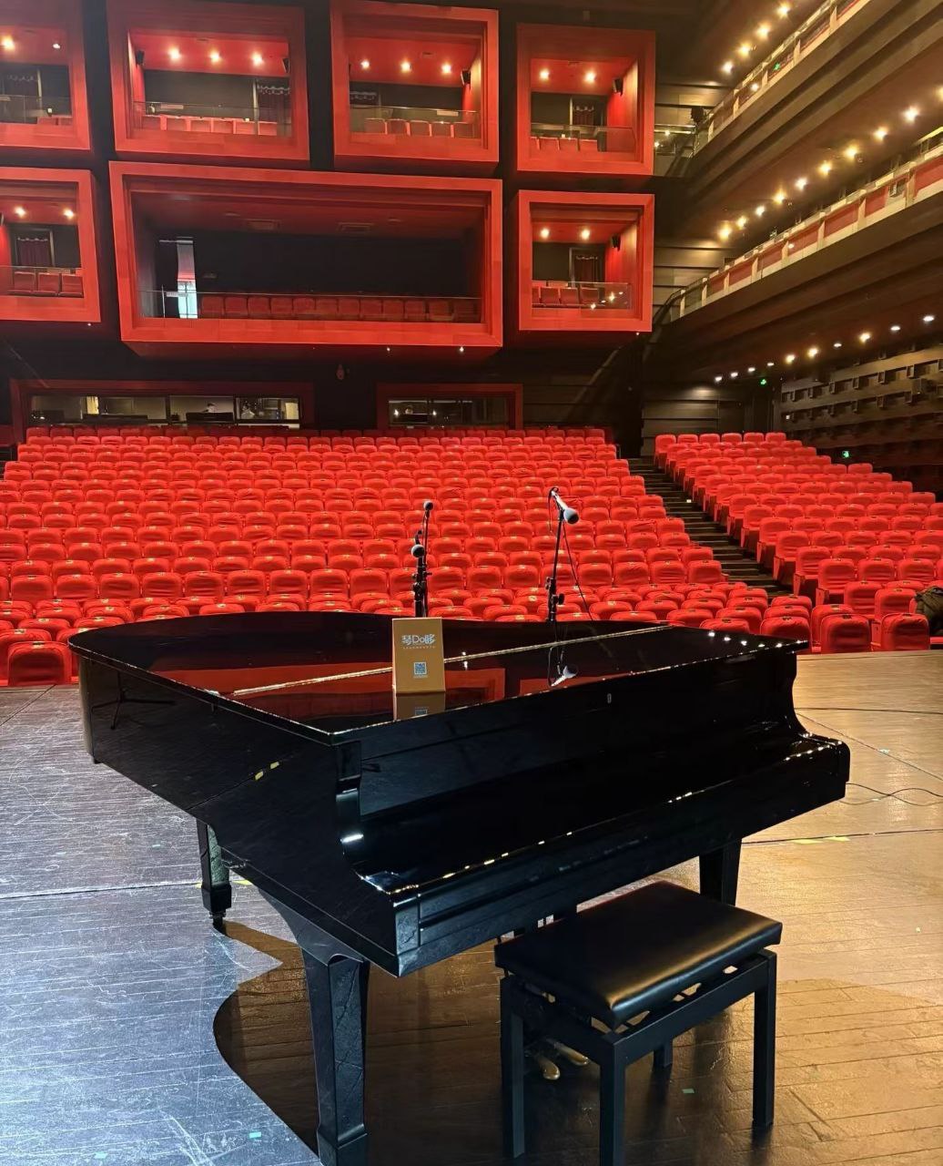 Comment Choisir Piano Queue dans un auditorium