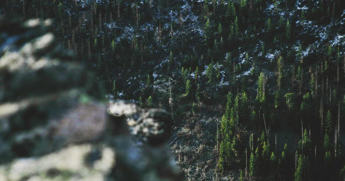 Bechstein Steinway Technique Légendes dans un salon