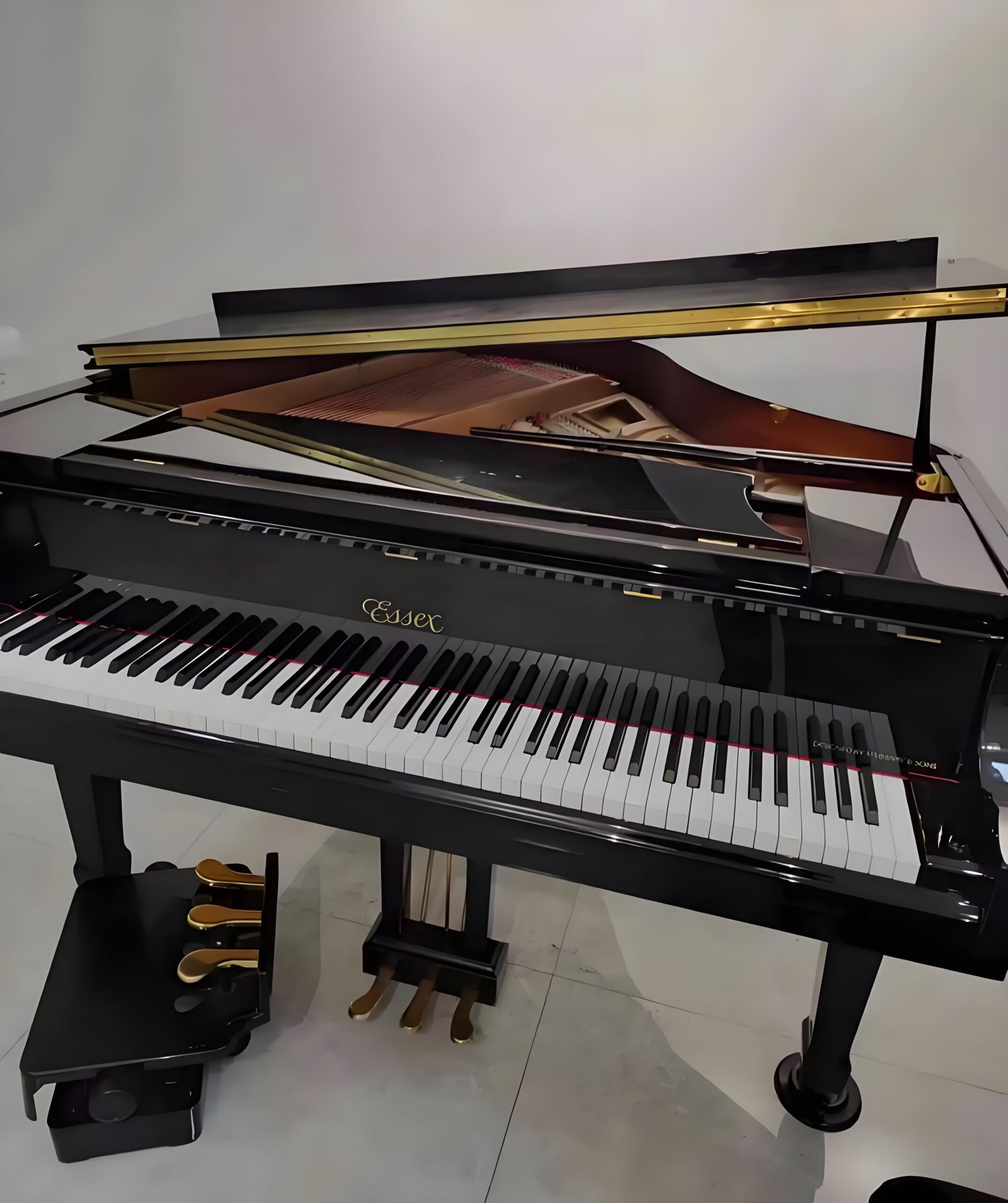Test Essex EGP173 avis expert piano à queue