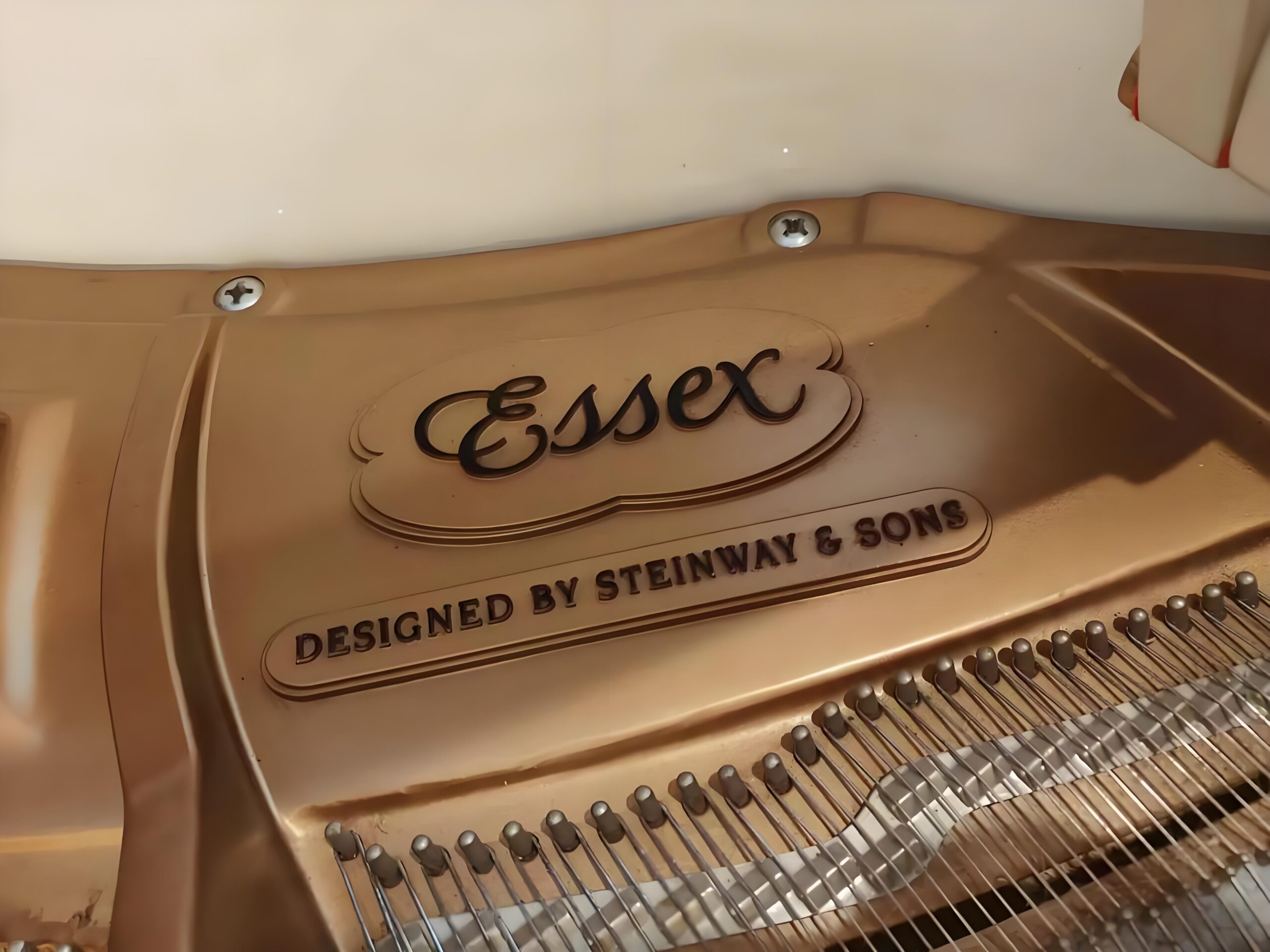 Essex EGP173 piano à queue 173 cm designed by Steinway