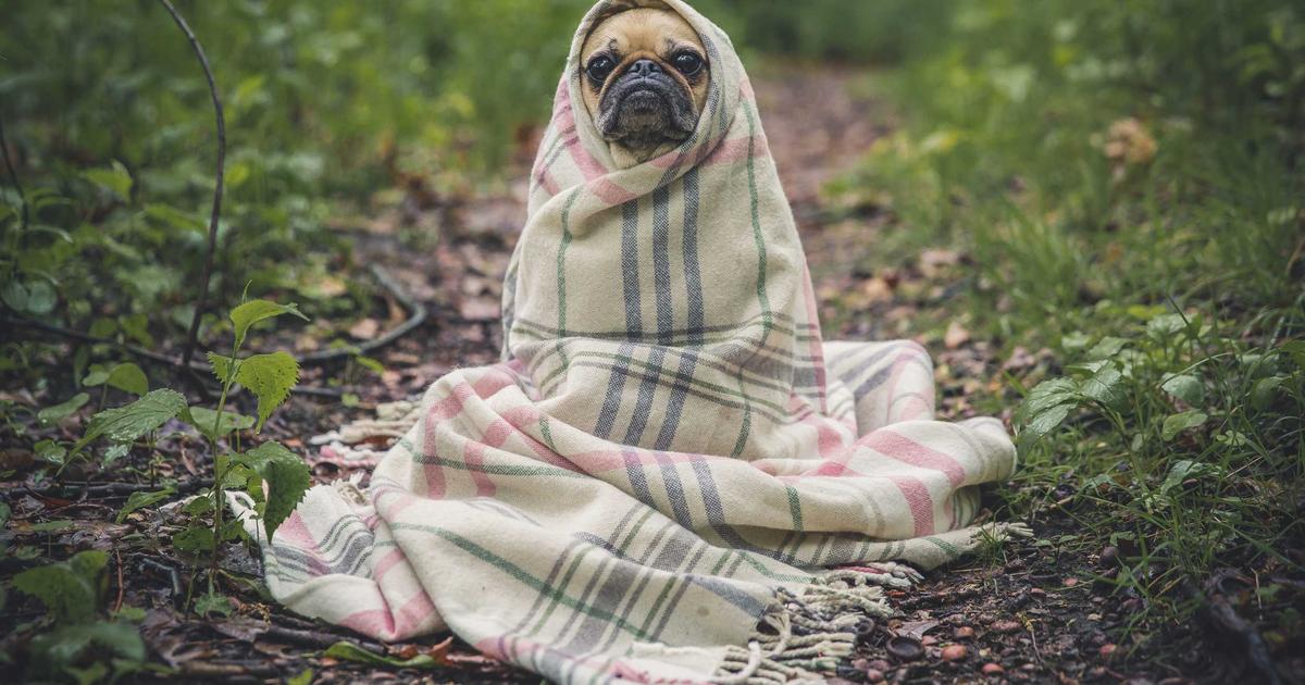 Photo Piano Droit Prix Achat